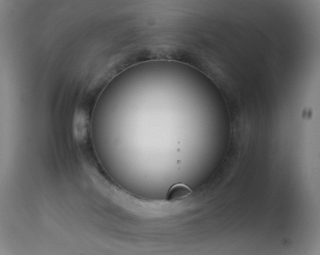 X0000112870038200908211436