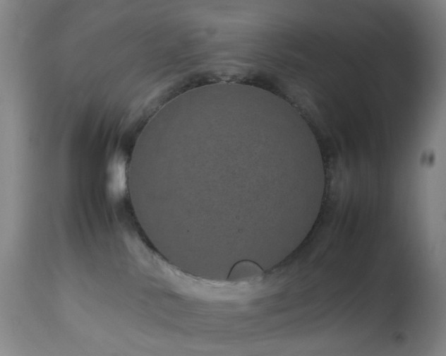 X0000112870042200908211436