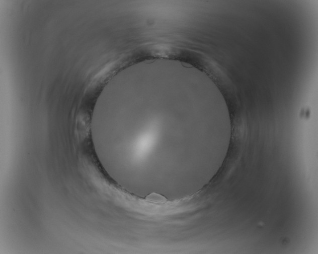 X0000112870043200908211436