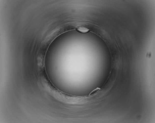 X0000112870044200908211436