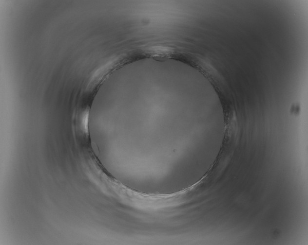 X0000112870047200908211436