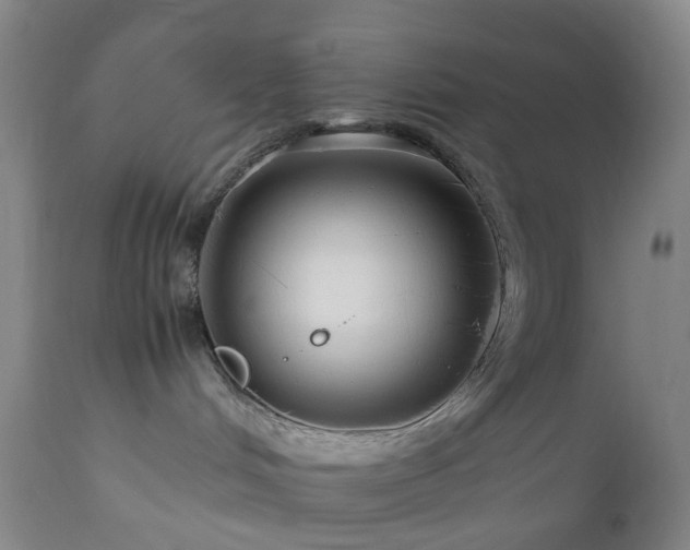 X0000112870048200908211436