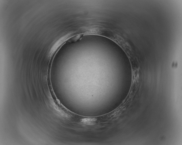 X0000112870051200908211436