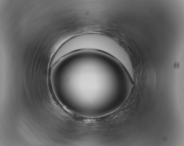 X0000112870052200908211436