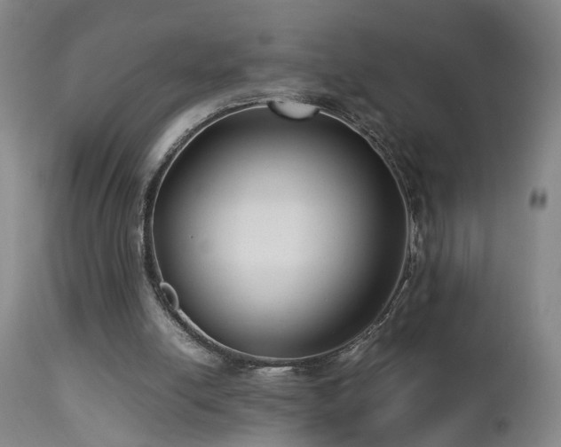 X0000112870054200908211436