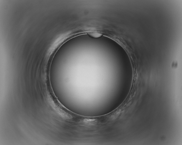 X0000112870055200908211436