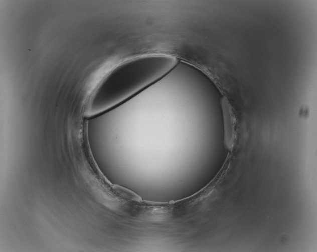 X0000112870056200908211436