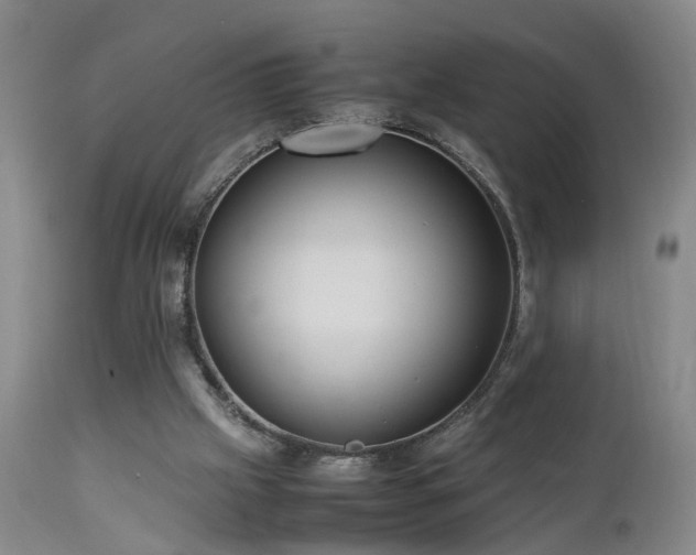 X0000112870057200908211436