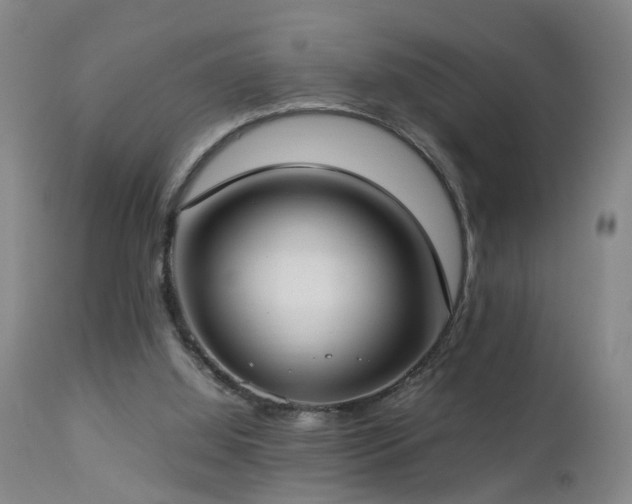 X0000112870060200908211436