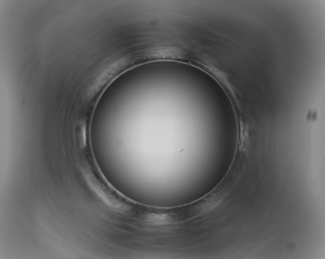 X0000112870061200908211436