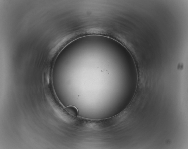 X0000112870062200908211436