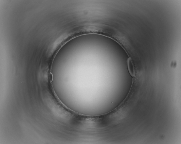 X0000112870064200908211436