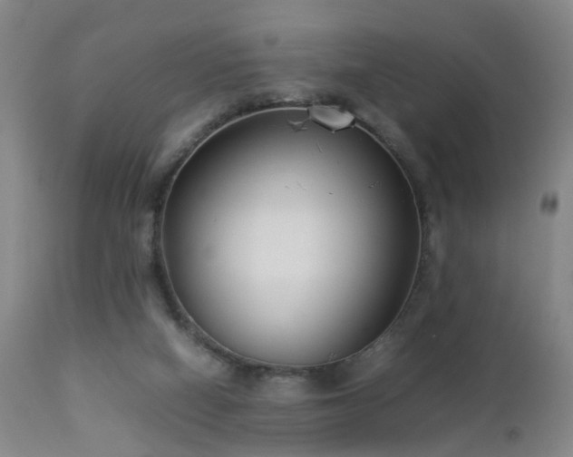 X0000112870066200908211436