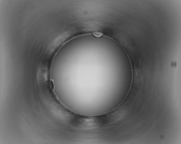X0000112870068200908211436