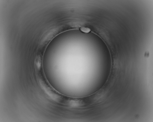 X0000112870069200908211436