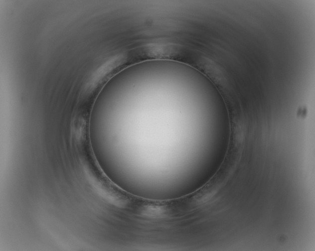 X0000112870071200908211436