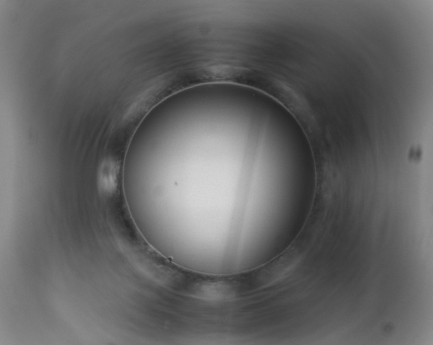 X0000112870075200908211436