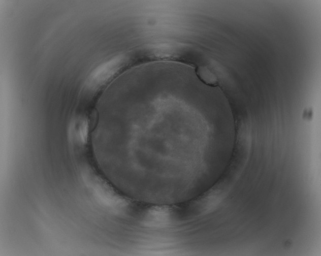 X0000112870076200908211436