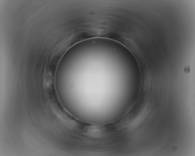 X0000112870077200908211436