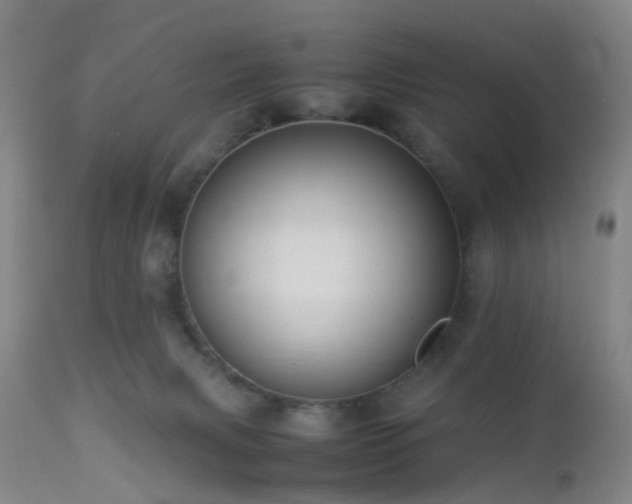 X0000112870079200908211436