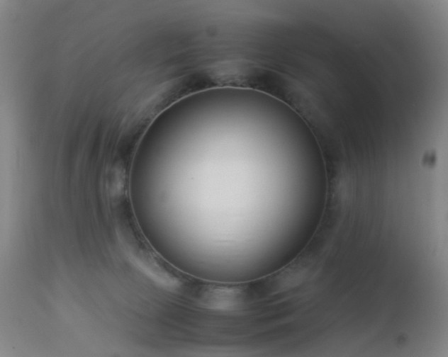 X0000112870081200908211436
