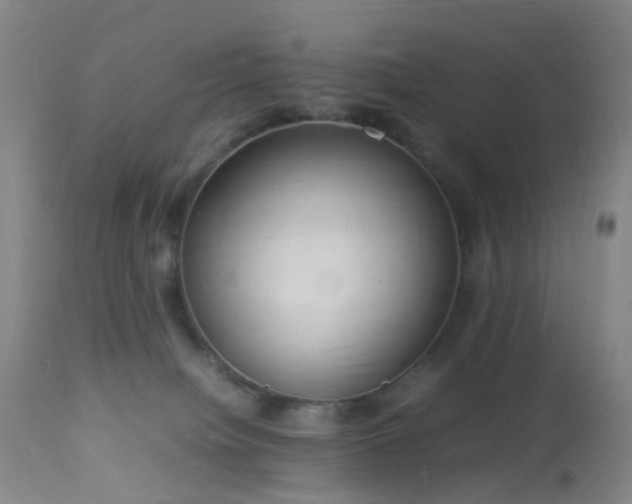 X0000112870084200908211436