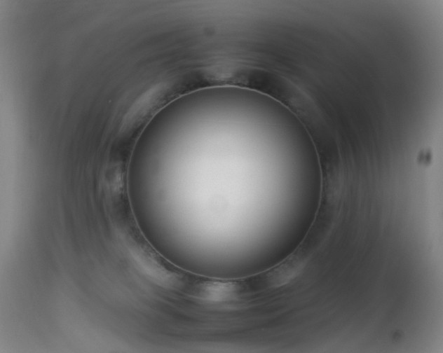 X0000112870085200908211436