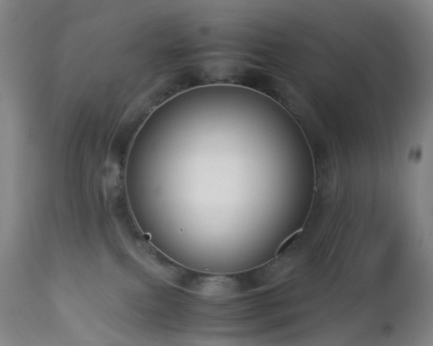 X0000112870087200908211436