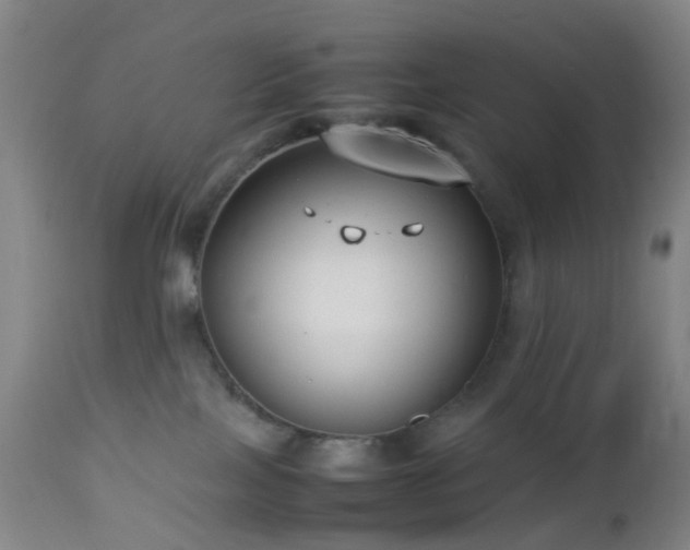 X0000112870089200908211436