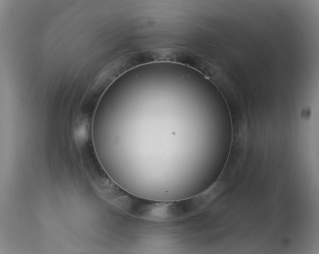 X0000112870090200908211436