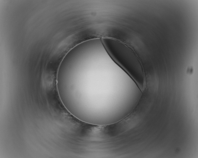 X0000112870092200908211436