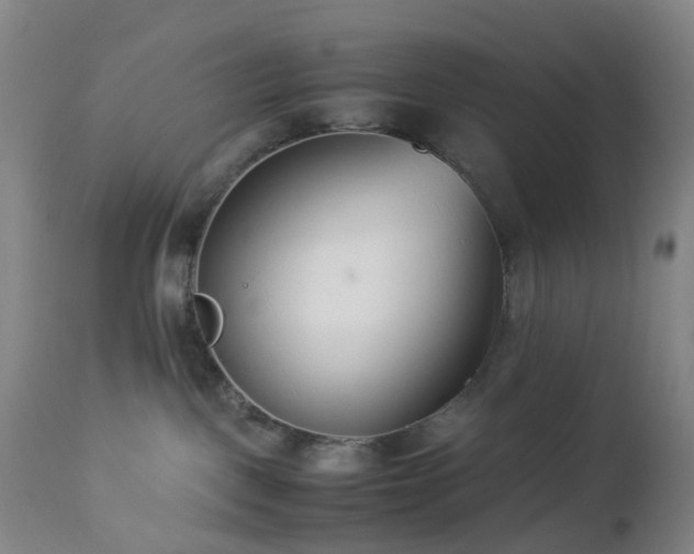 X0000112870093200908211436