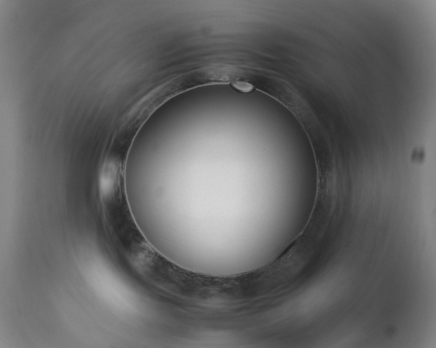 X0000112870095200908211436
