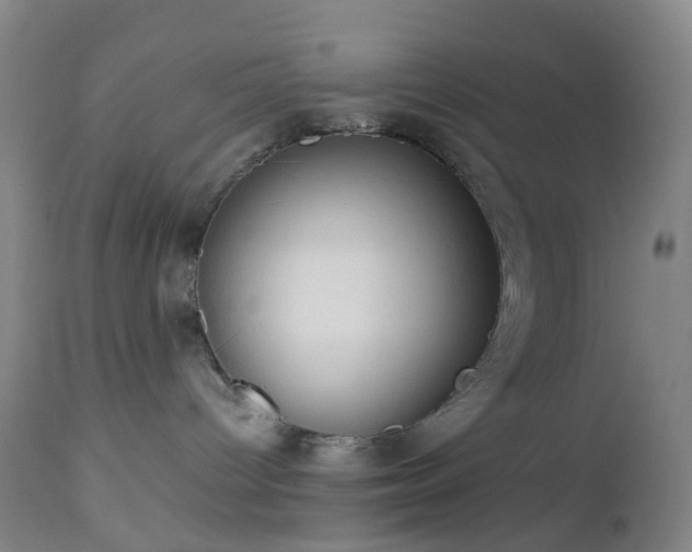 X0000112870096200908211436