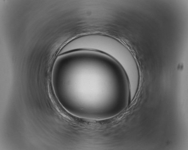 X0000112870097200908211436