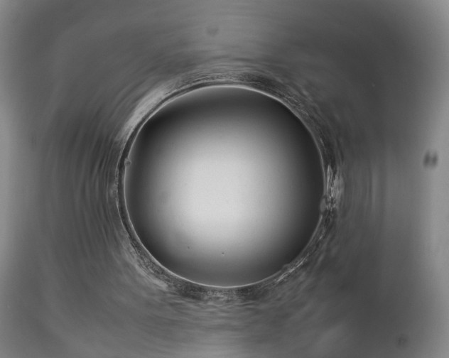 X0000112870099200908211436