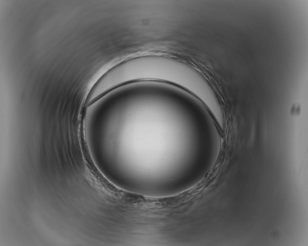 X0000112870100200908211436