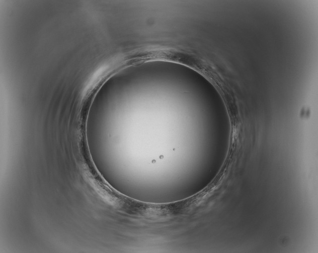 X0000112870101200908211436