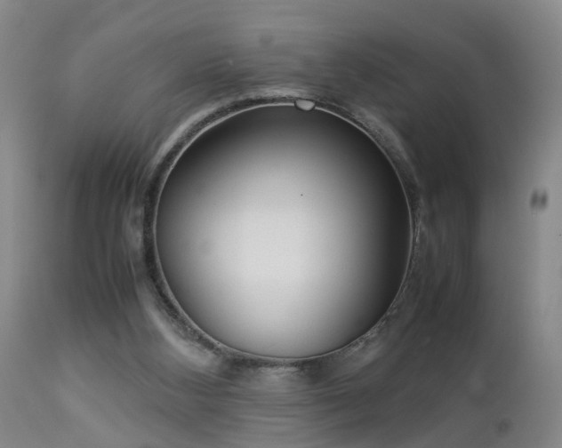 X0000112870108200908211435