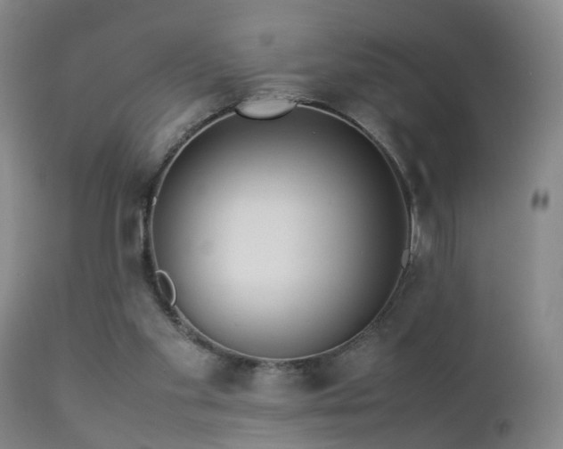 X0000112870109200908211435