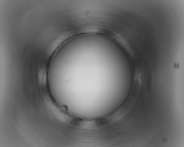 X0000112870110200908211435