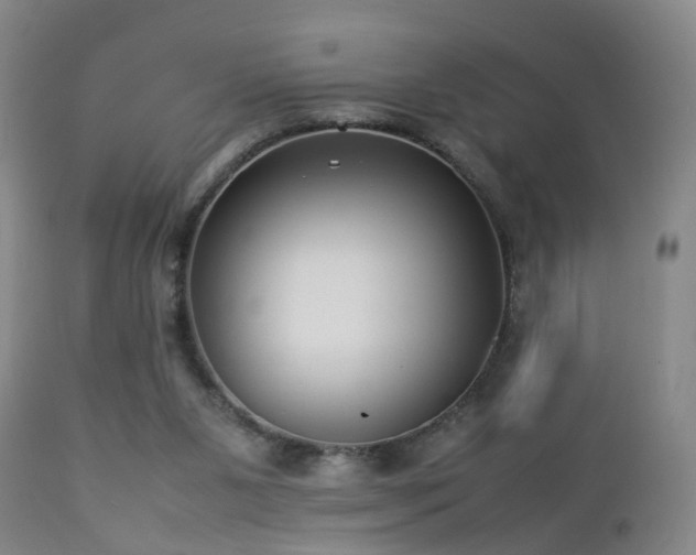 X0000112870111200908211435