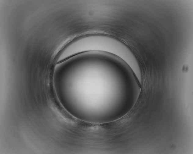 X0000112870112200908211435