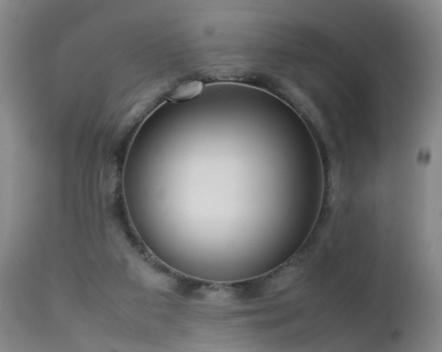 X0000112870113200908211435