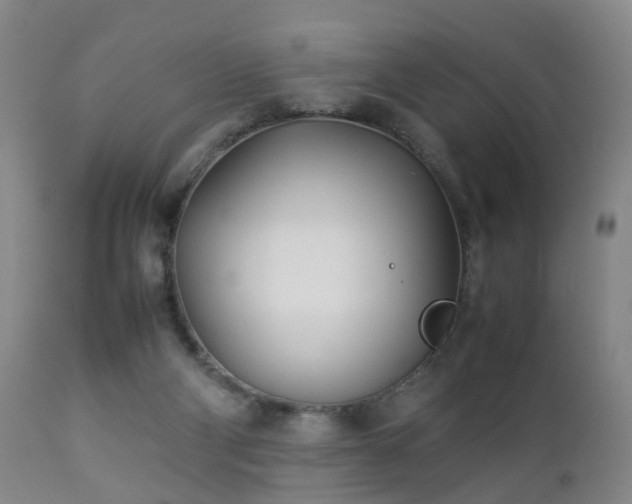 X0000112870114200908211435