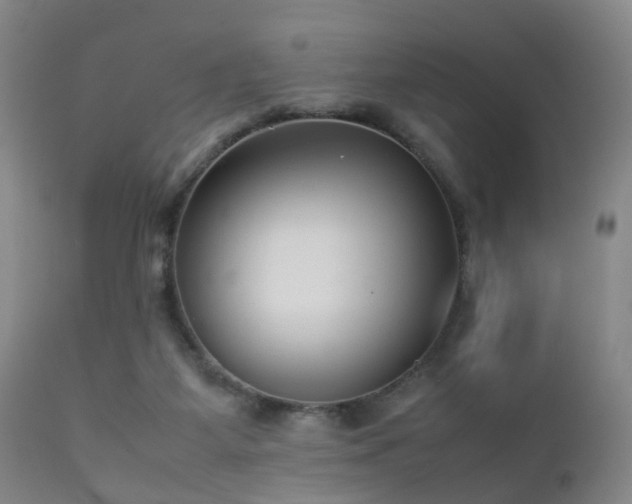 X0000112870115200908211435