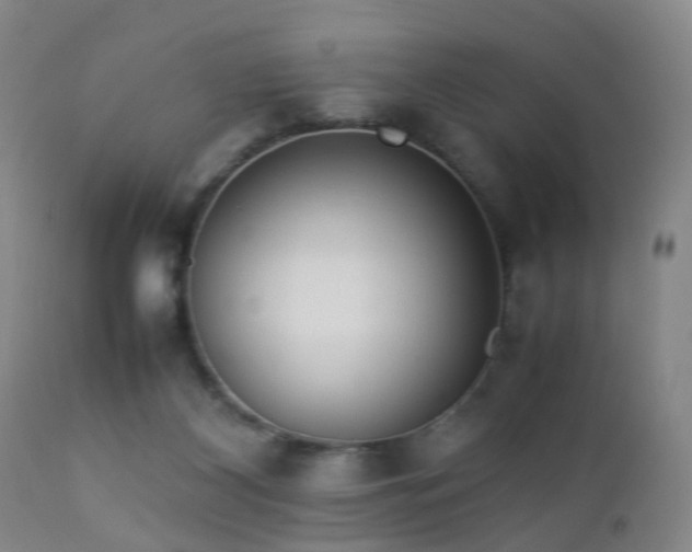 X0000112870116200908211435