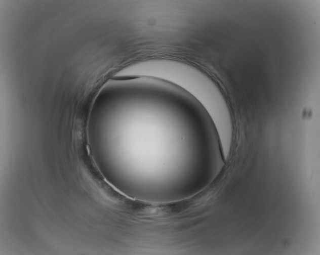 X0000112870117200908211435