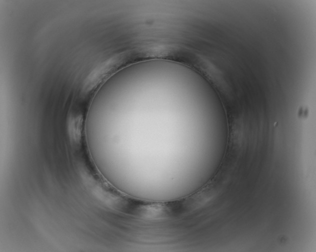 X0000112870118200908211435