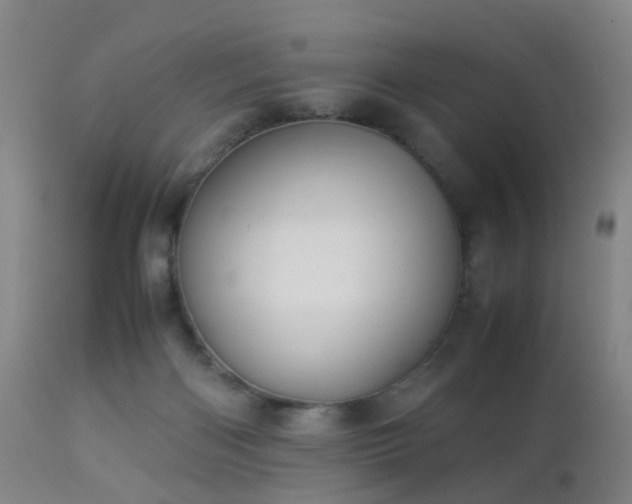 X0000112870122200908211435